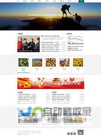 嘉兴网站建设：助力企业在线发展，打造专属数字名片