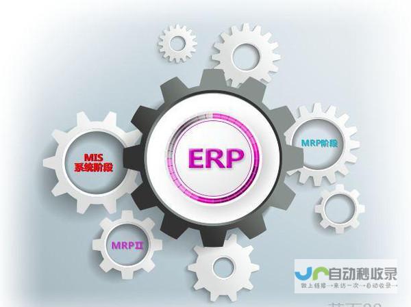 定制化ERP软件开发解决方案：满足不同企业需求的策略与实施