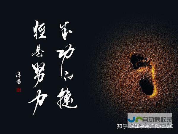 打造成功的在线平台：一步步教你建设功能强大、用户友好的网站